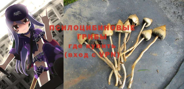 a pvp Алексин