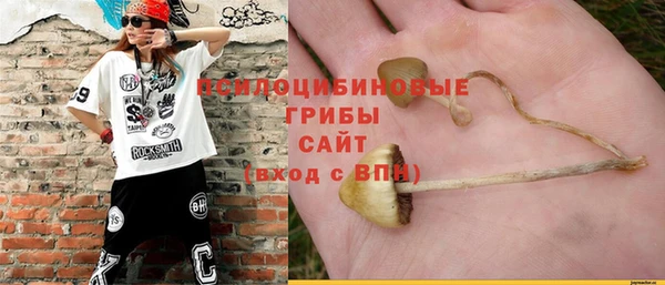 гидропоника Алексеевка