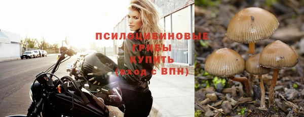 каннабис Алзамай