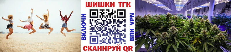 Конопля конопля Кукмор